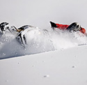 sledding