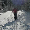 xc ski